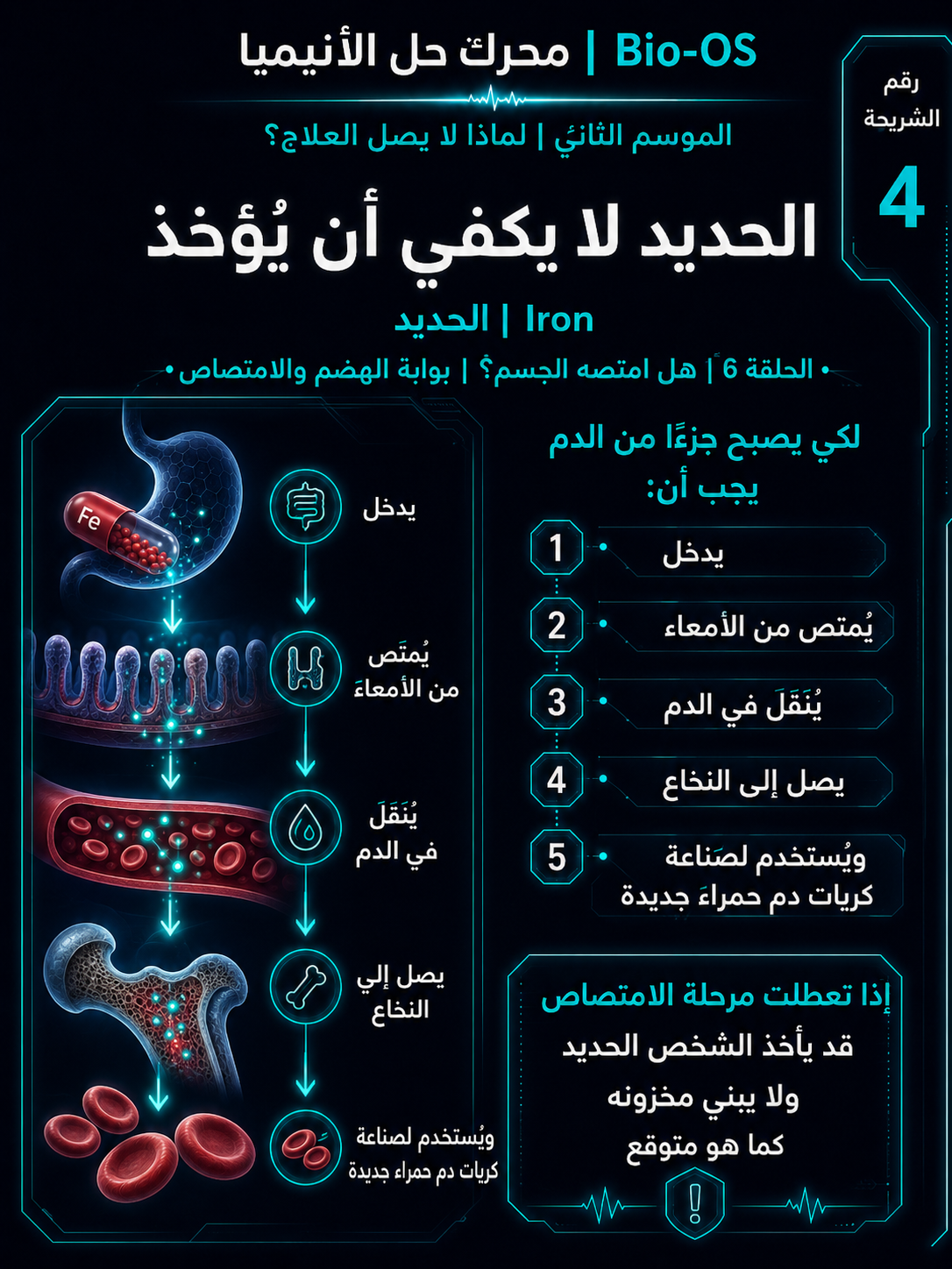 هل امتصه الجسم؟ — الشريحة 5