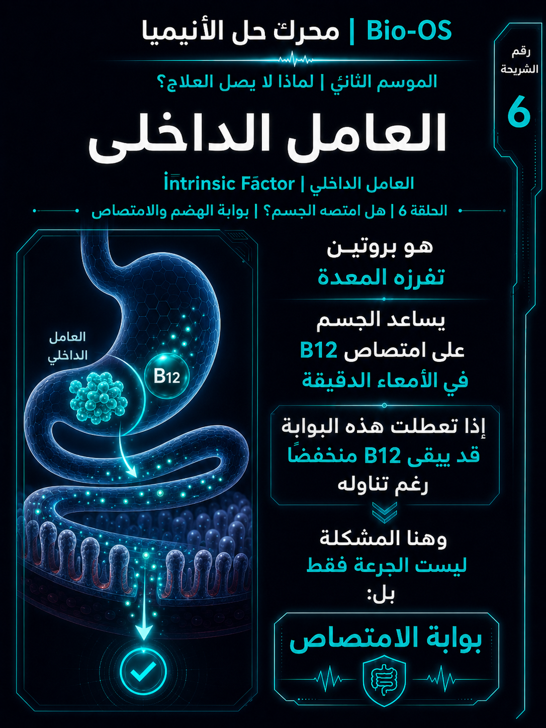 هل امتصه الجسم؟ — الشريحة 7