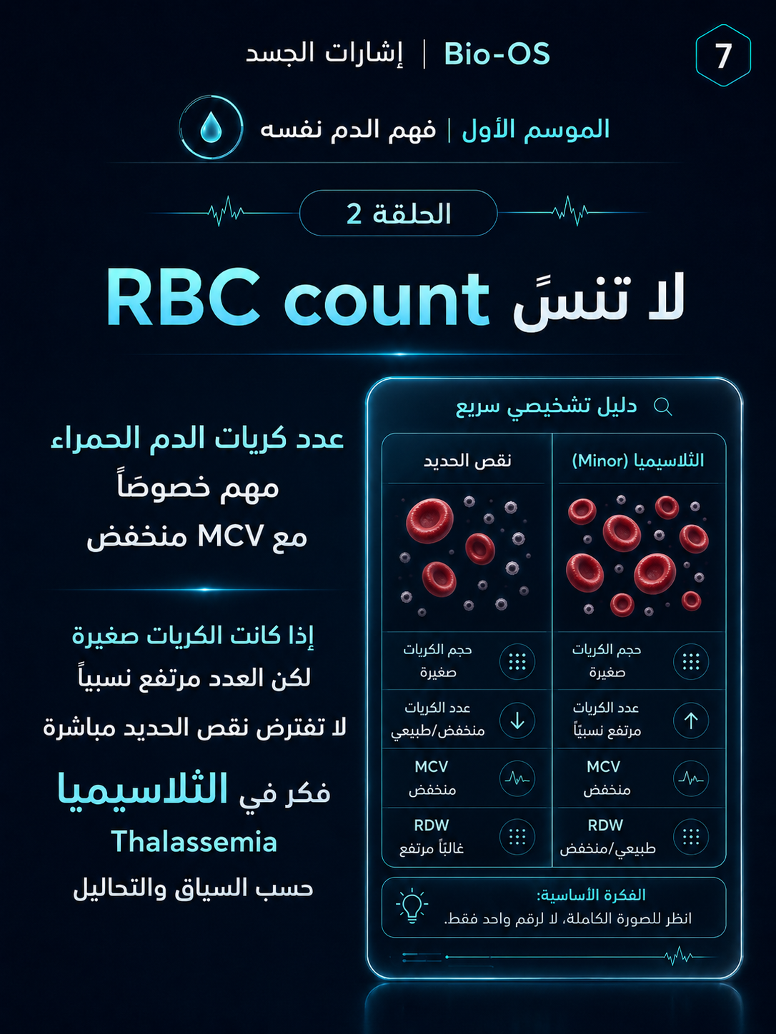 هل الأنيميا مؤكدة فعلًا؟ — الشريحة 8