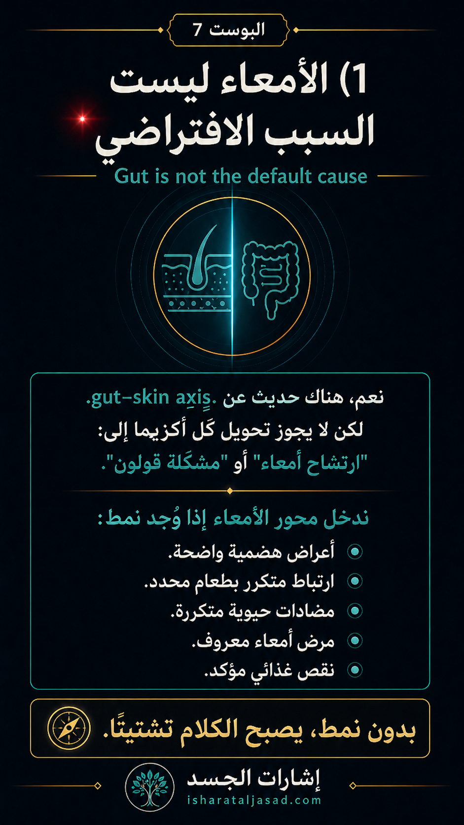 من الجلد إلى الجسد — الشريحة 5