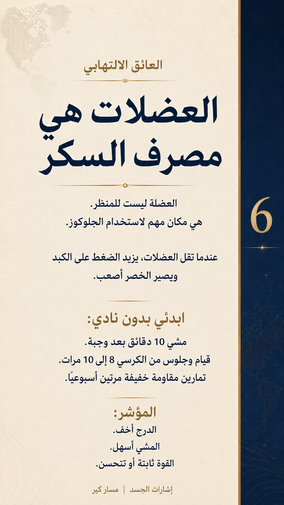 الدهون الحشوية ليست شكلًا فقط… متى تصبح عائقًا للإصلاح؟ — الشريحة 7