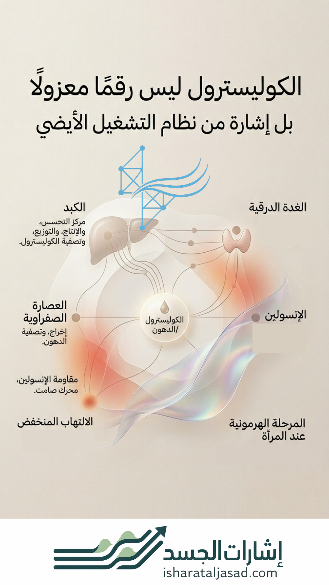 بروتوكول لارتفاع الكوليسترول عند النساء — الشريحة 16
