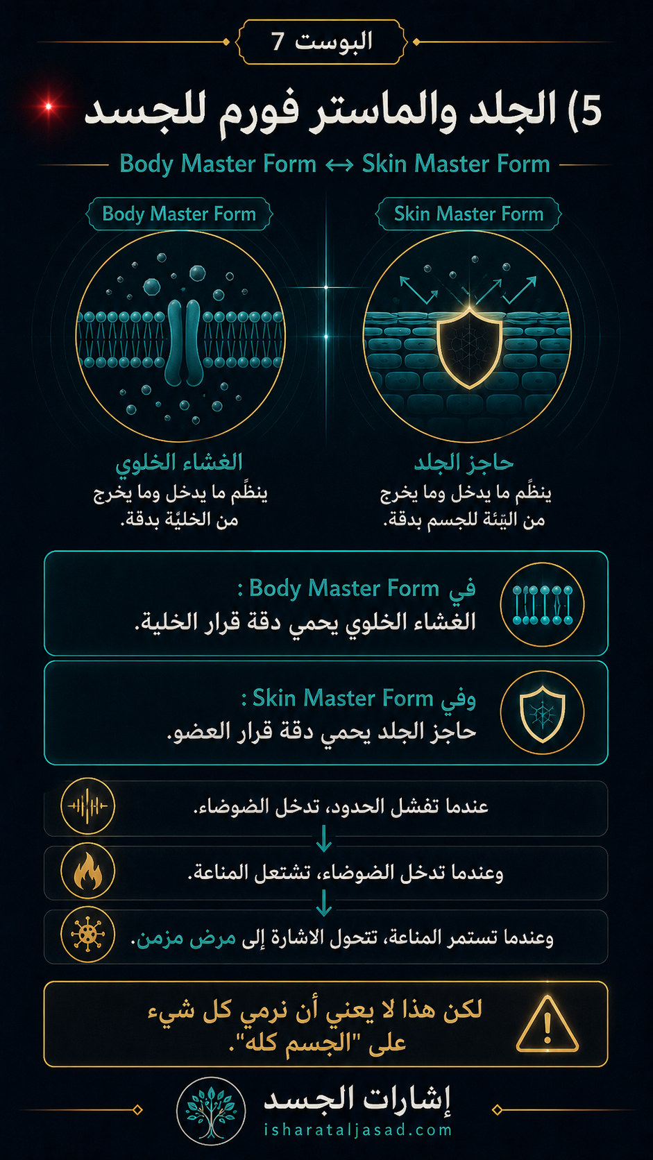 من الجلد إلى الجسد — الشريحة 2