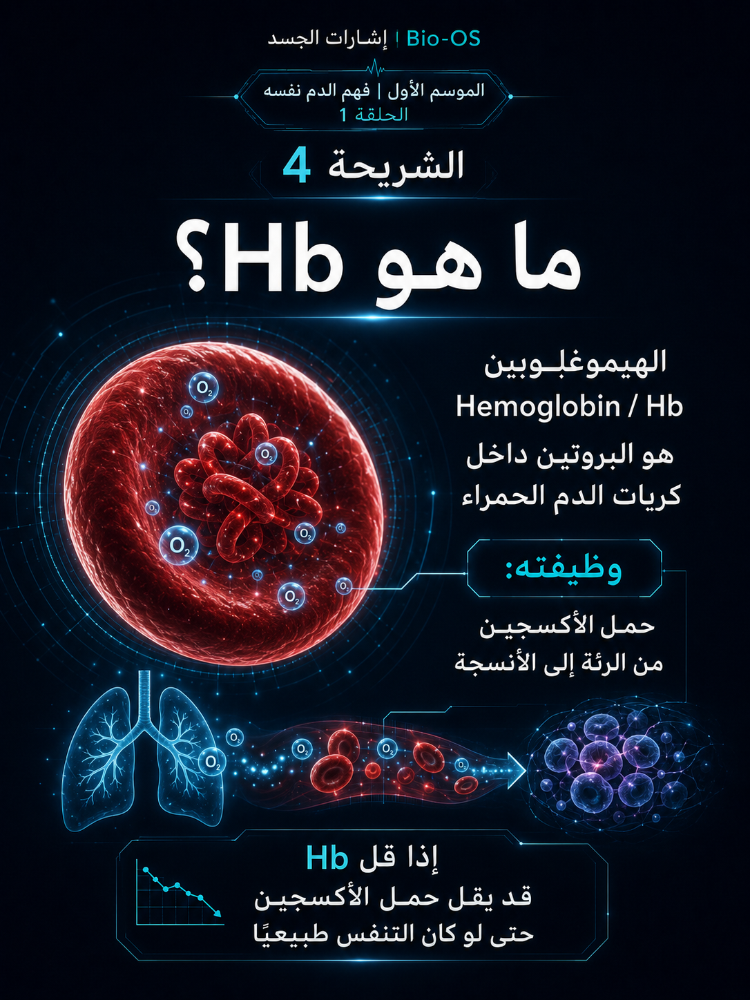 لماذا لا تتحسن الأنيميا؟ — الشريحة 5
