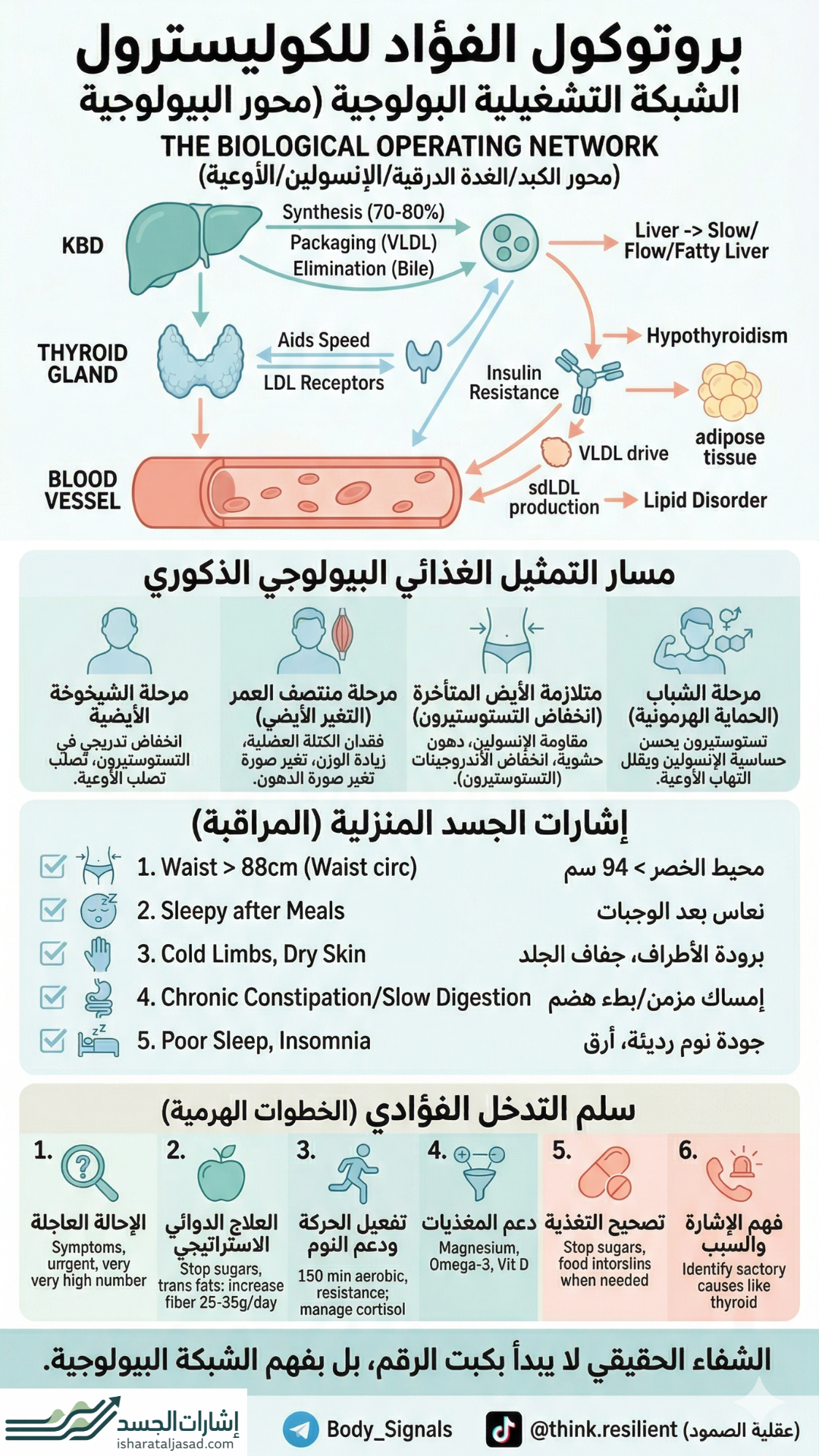 بروتوكول لارتفاع الكوليسترول عند النساء — الشريحة 13
