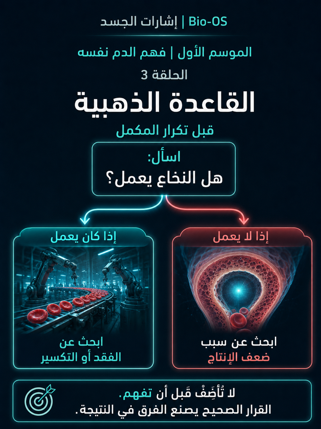 هل النخاع يعمل؟ — الشريحة 10