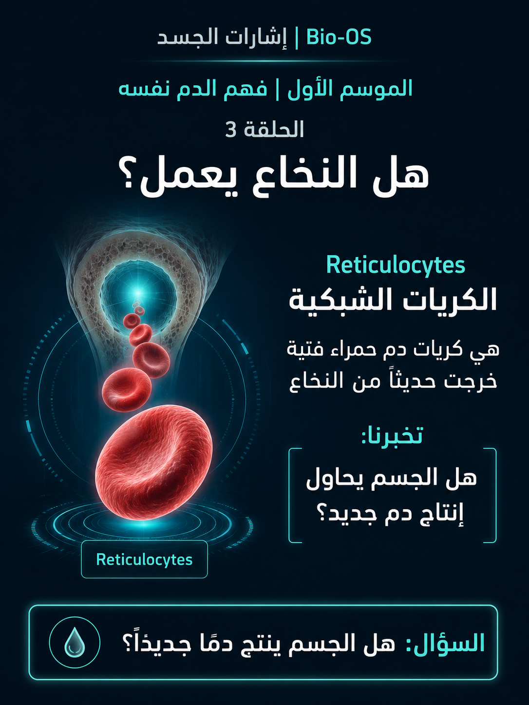 هل النخاع يعمل؟ — الشريحة 2