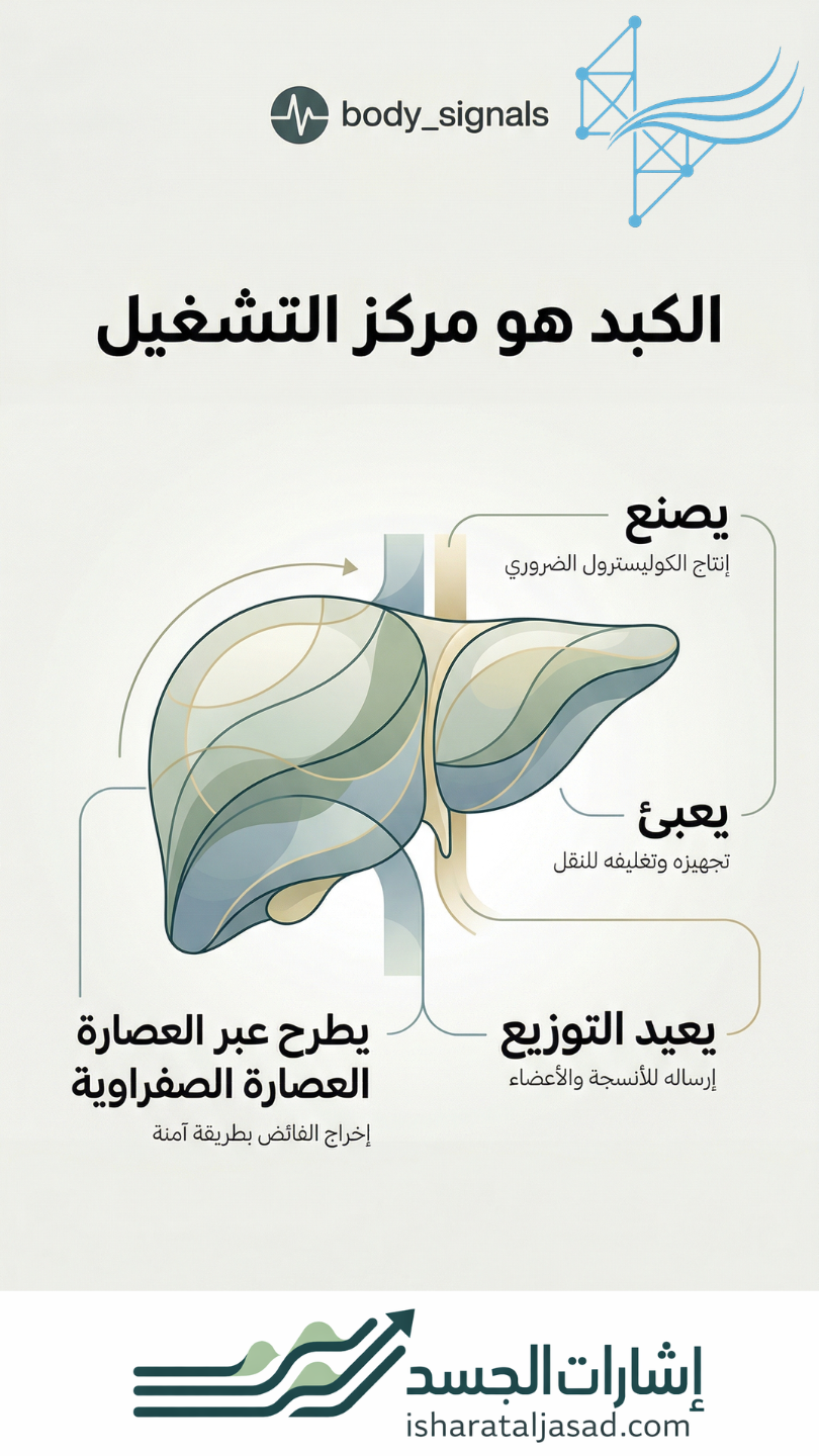 بروتوكول لارتفاع الكوليسترول عند النساء — الشريحة 4