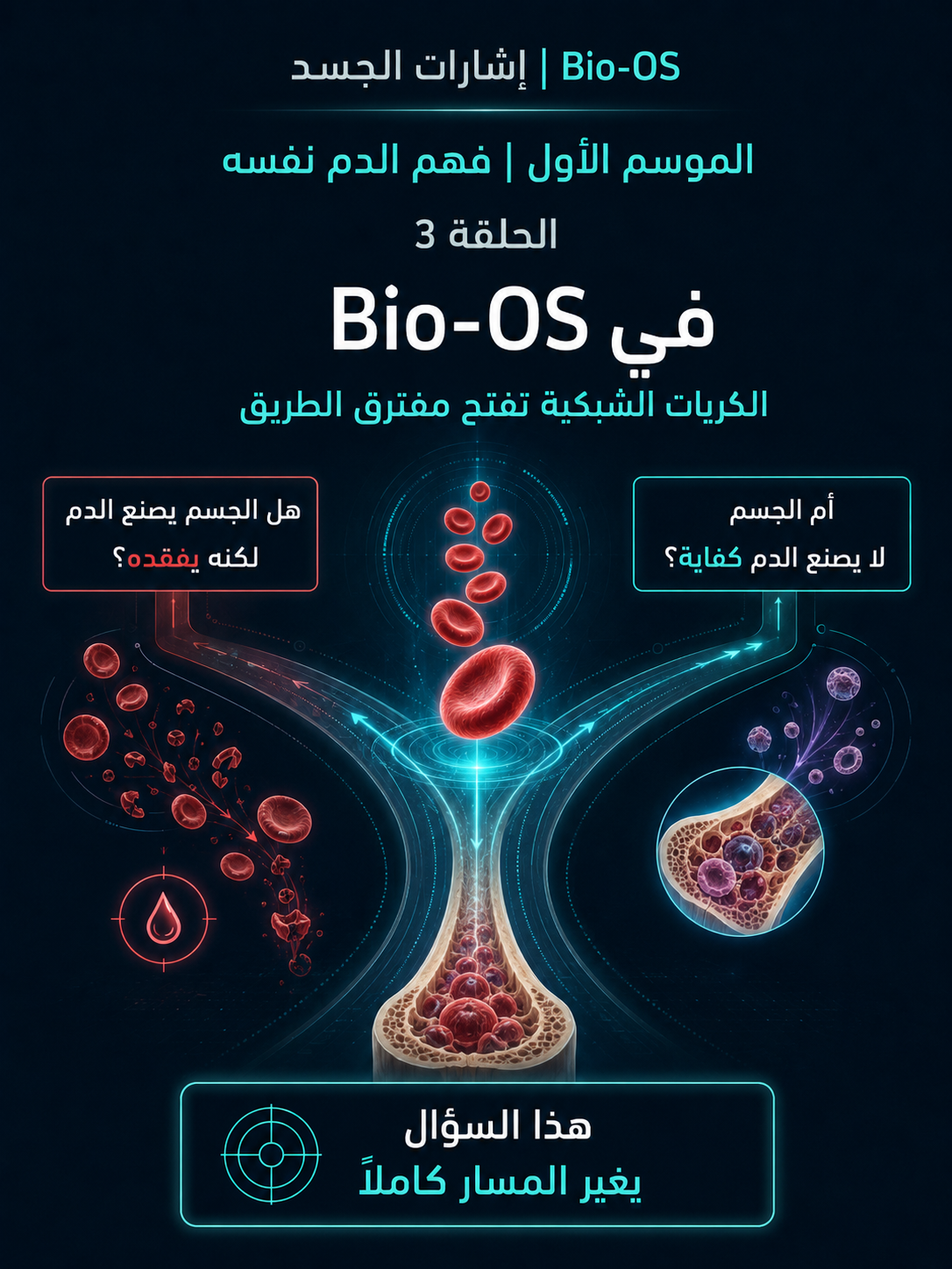هل النخاع يعمل؟ — الشريحة 4