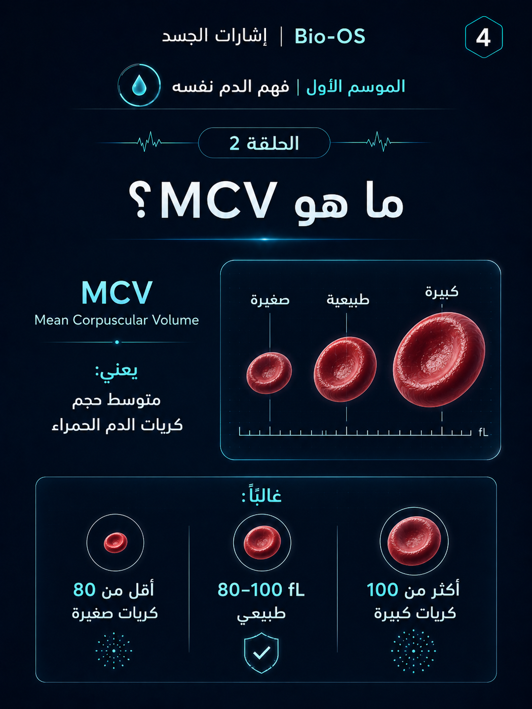 هل الأنيميا مؤكدة فعلًا؟ — الشريحة 5