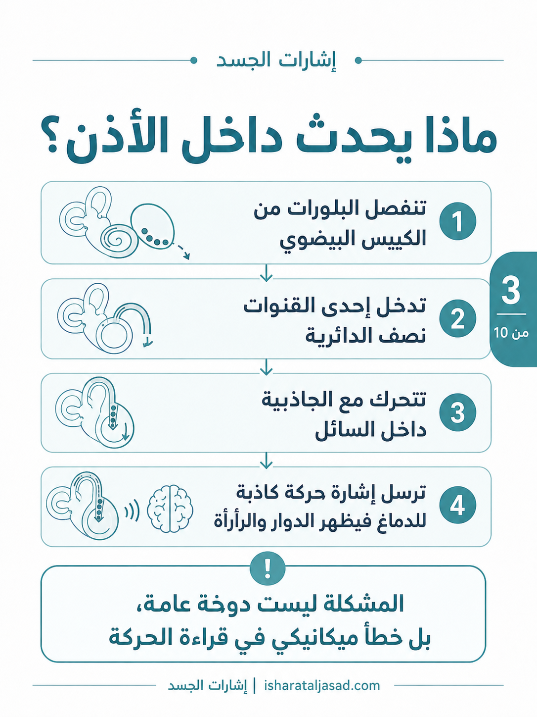 كريستالات الأذن — الشريحة 4