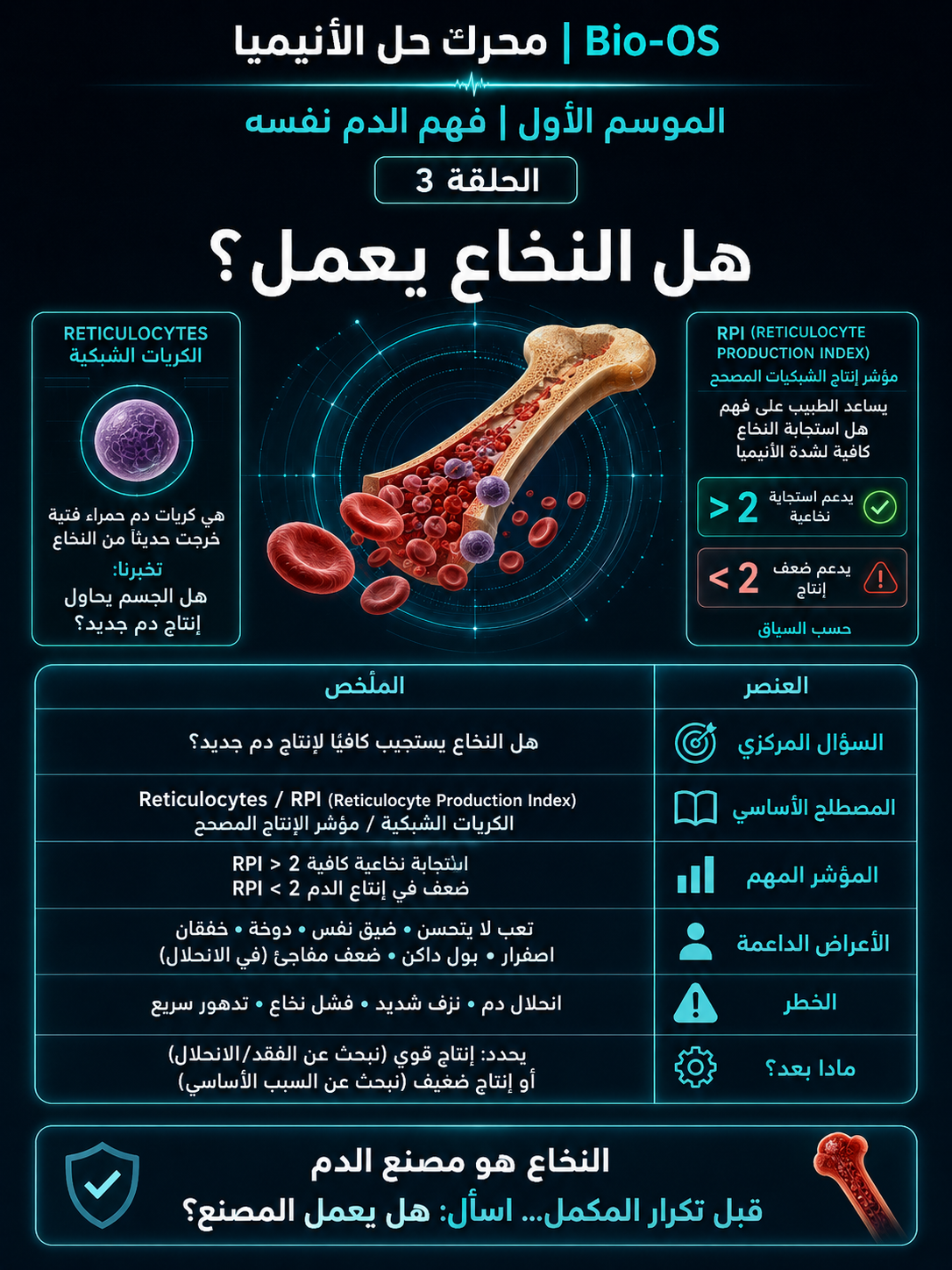 هل النخاع يعمل؟ — الشريحة 1