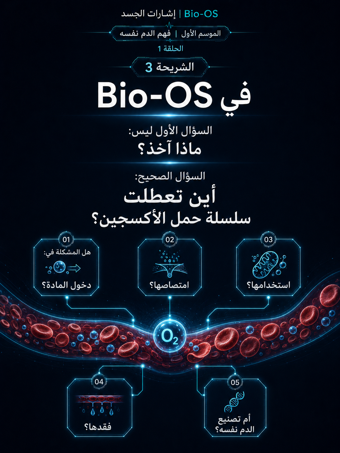 لماذا لا تتحسن الأنيميا؟ — الشريحة 4