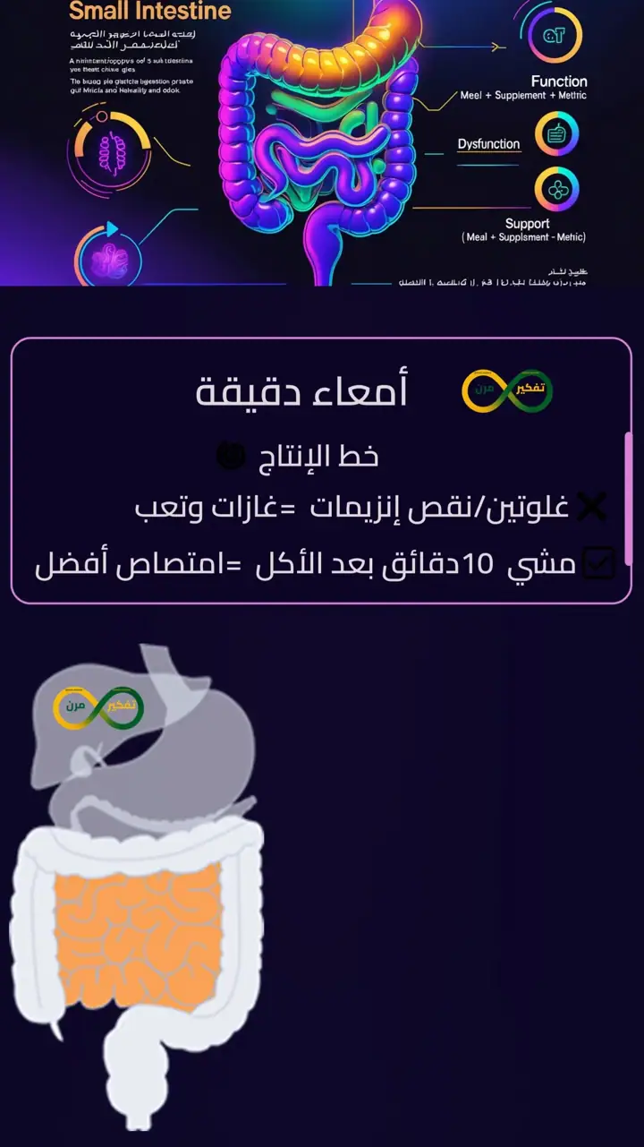 الشريحة 4 من 12: صحتك تبدأ من جهازك الهضمي