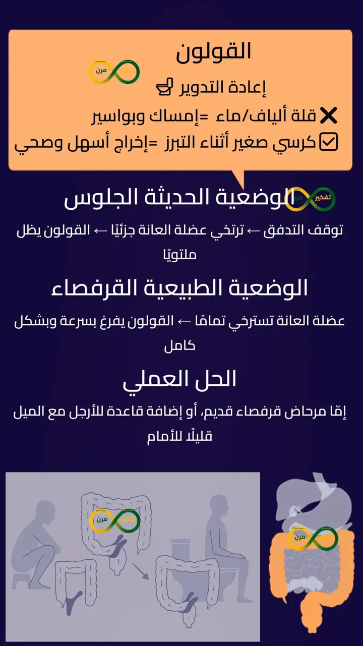 الشريحة 5 من 12: صحتك تبدأ من جهازك الهضمي