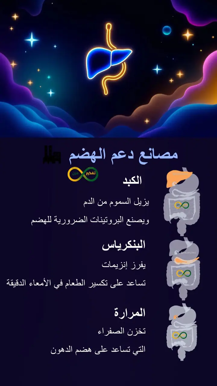 الشريحة 7 من 12: صحتك تبدأ من جهازك الهضمي