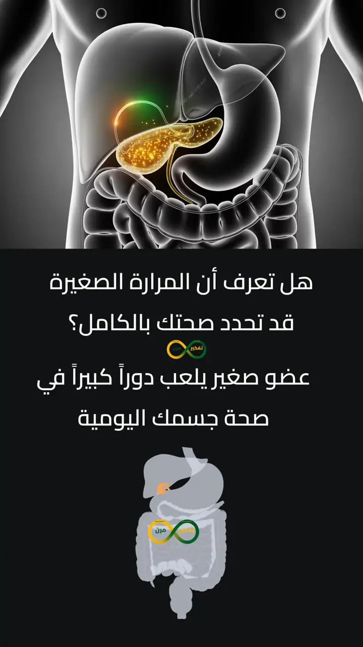 الشريحة 1 من 10: المرارة الصغيرة ودورها في صحة الجسم