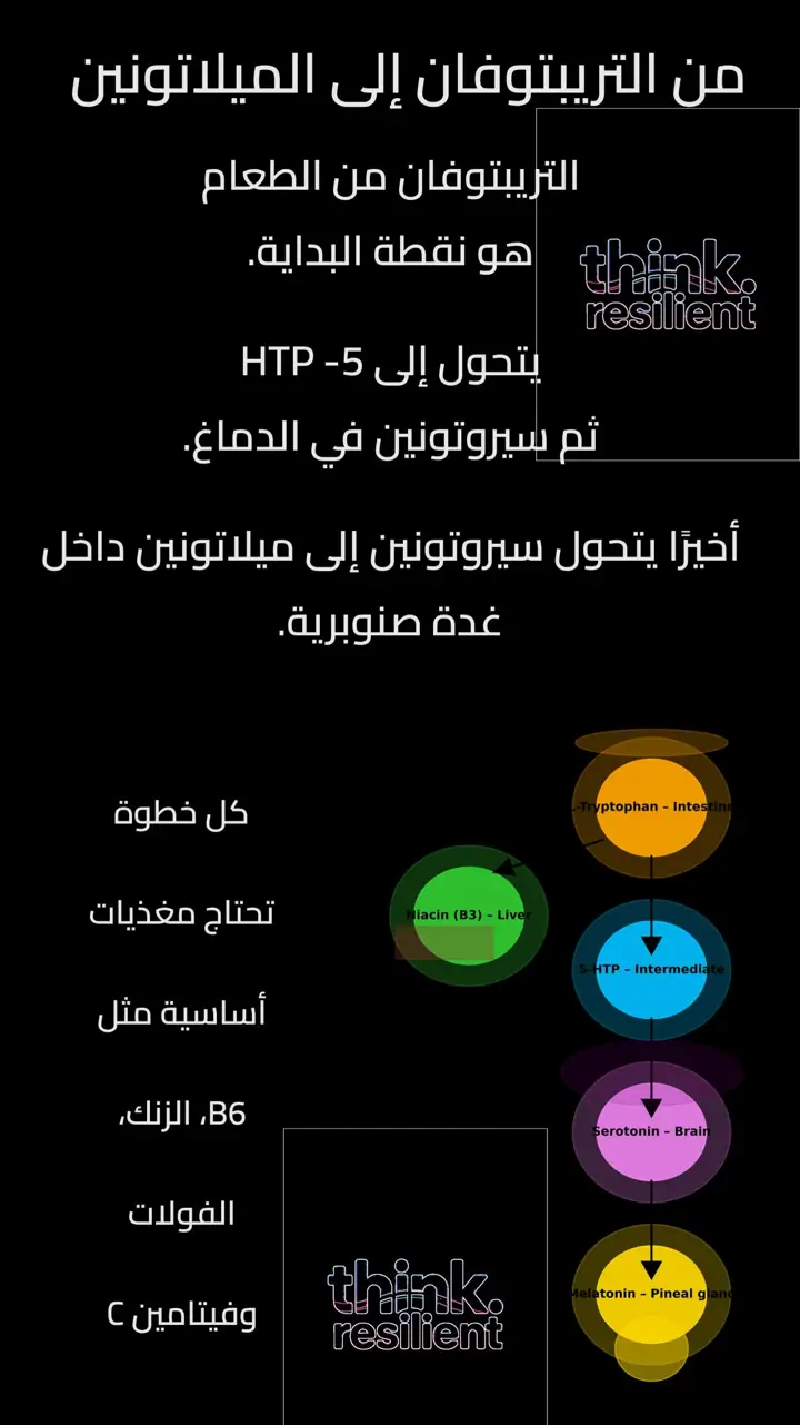 الشريحة 7 من 12: هل تعاني من صعوبة في النوم رغم التعب؟