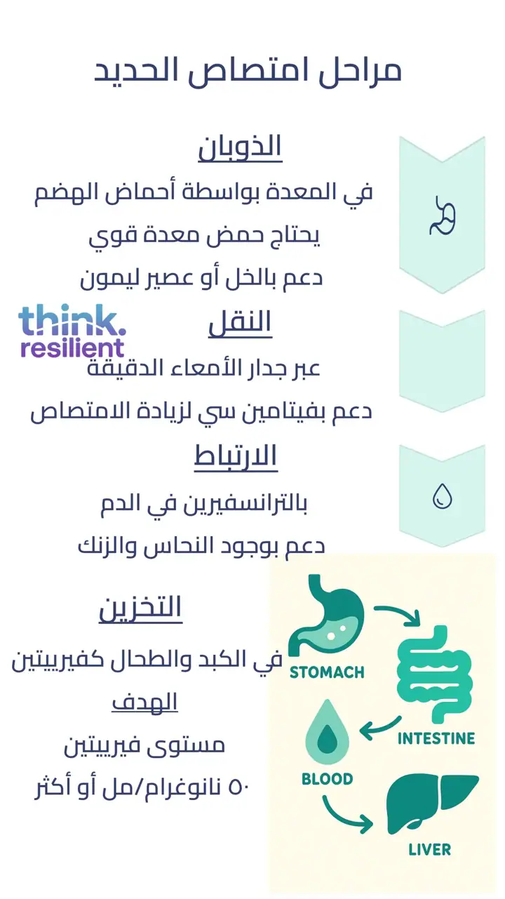 الشريحة 8 من 11: تساقط الشعر