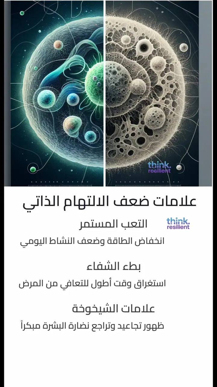 الشريحة 3 من 11: الالتهام الذاتي: آلية تجدد الخلايا
