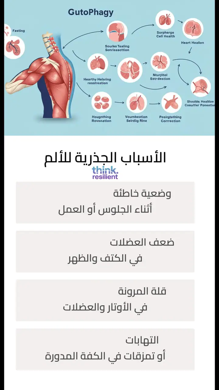 الشريحة 6 من 13: الكفة المدورة