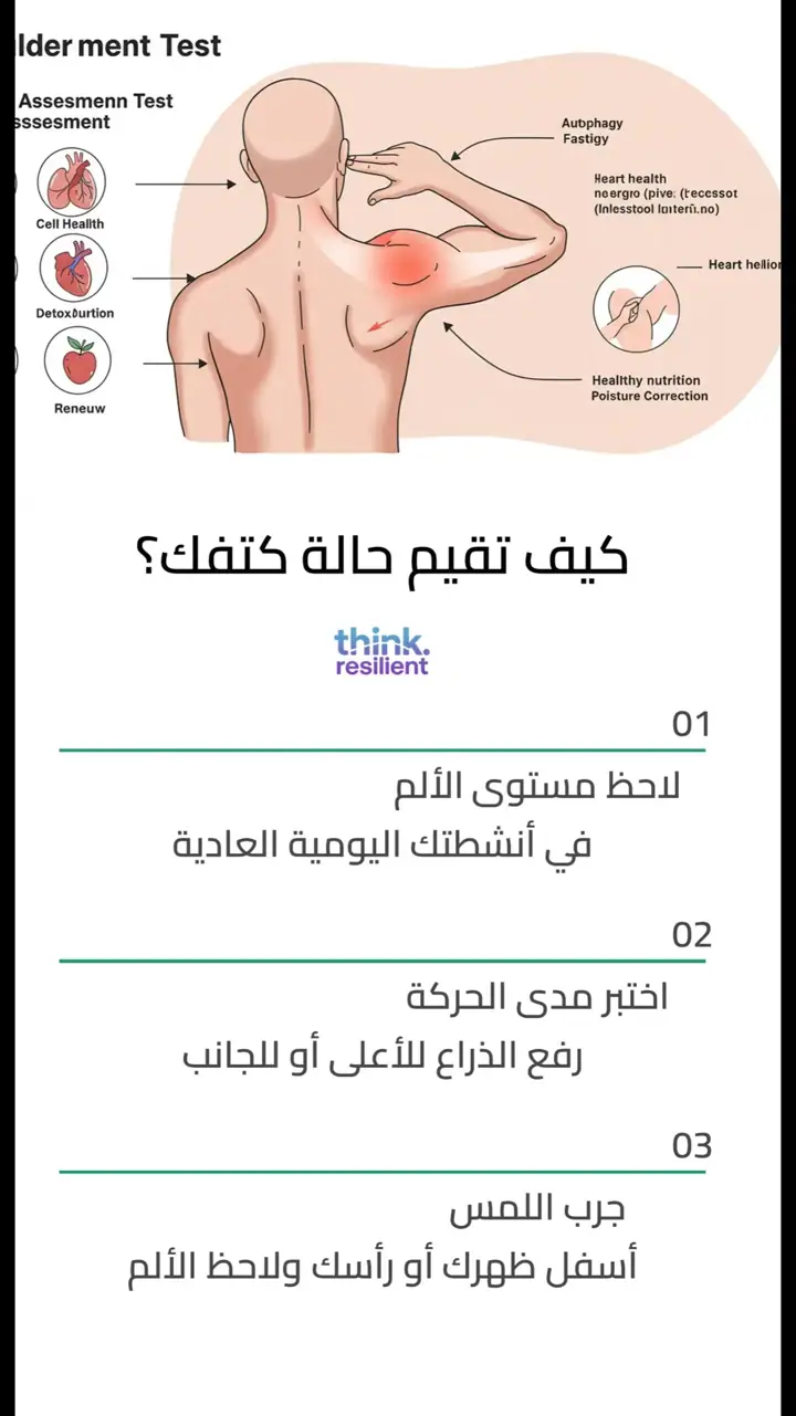 الشريحة 7 من 13: الكفة المدورة