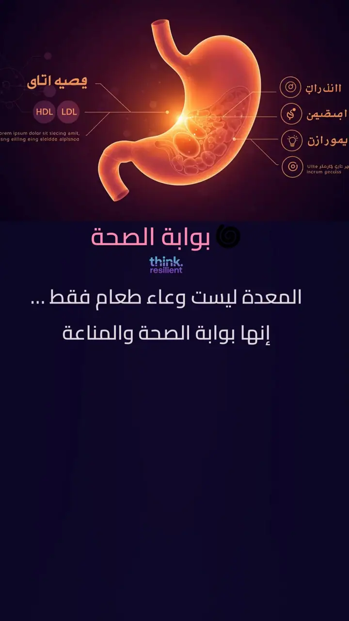 الشريحة 1 من 12: المعدة: بوابة الصحة والمناعة