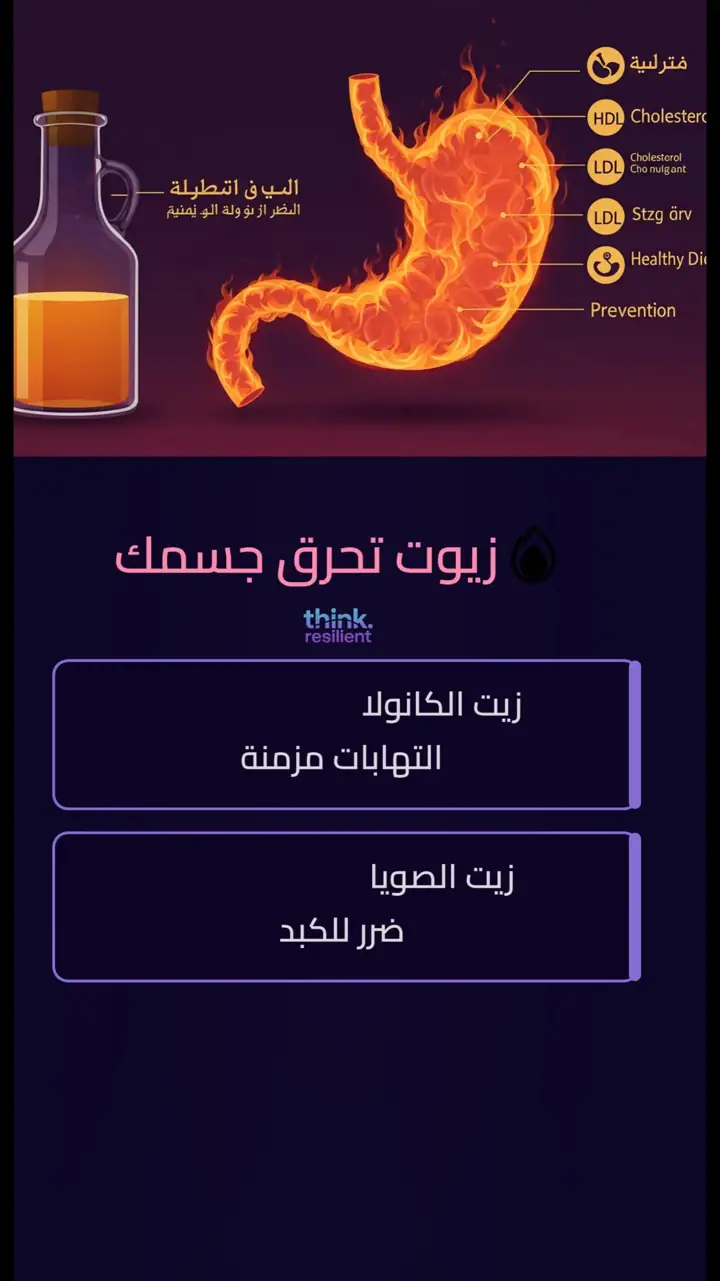 الشريحة 7 من 12: المعدة: بوابة الصحة والمناعة