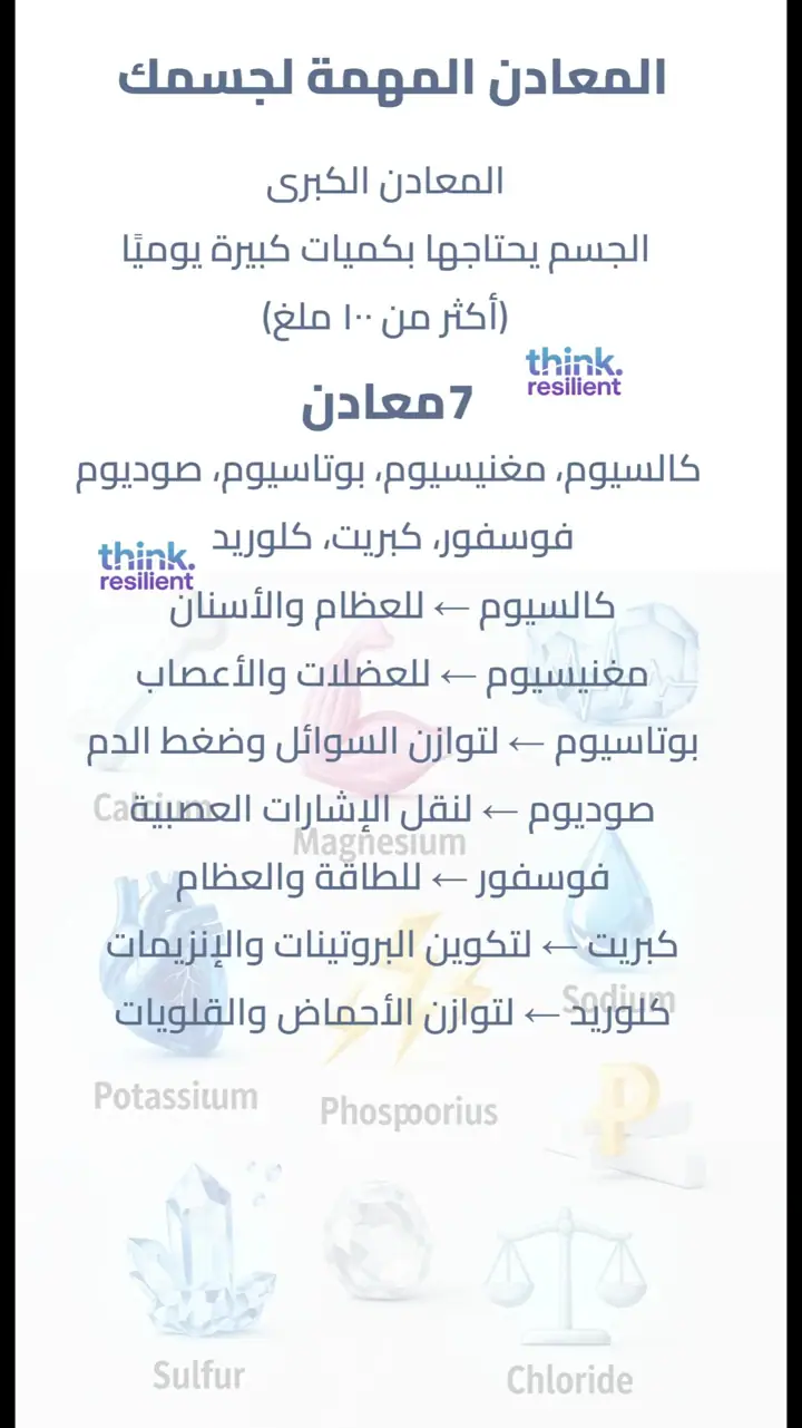 الشريحة 12 من 17: منخفض 3 الكارب