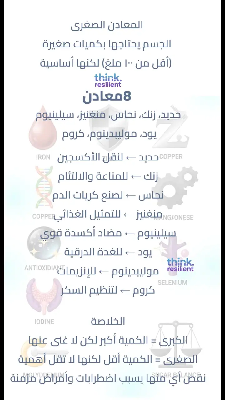 الشريحة 13 من 17: منخفض 3 الكارب