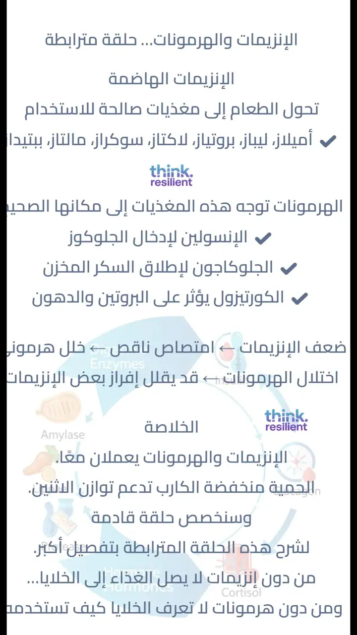 الشريحة 14 من 17: منخفض 3 الكارب