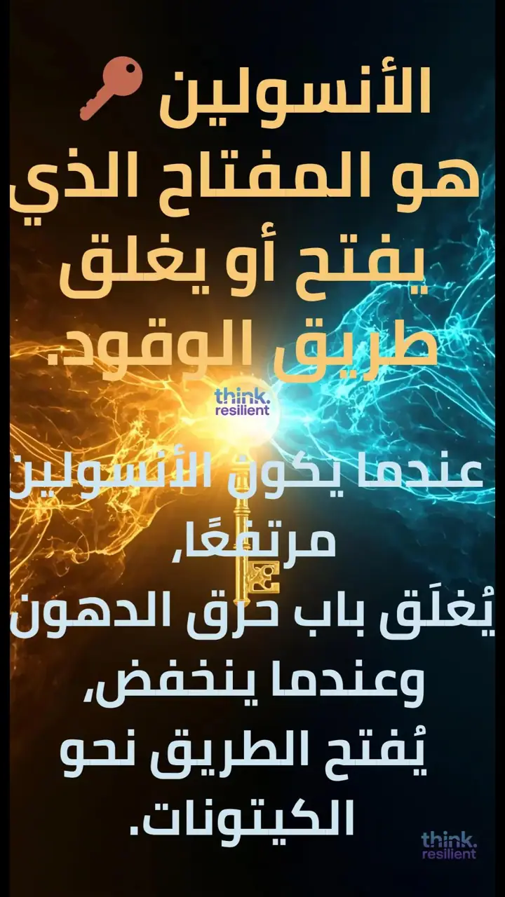 الشريحة 3 من 11: الذكاء الأيضي: تدريب الجسم على وقودَي الكارب والدهون