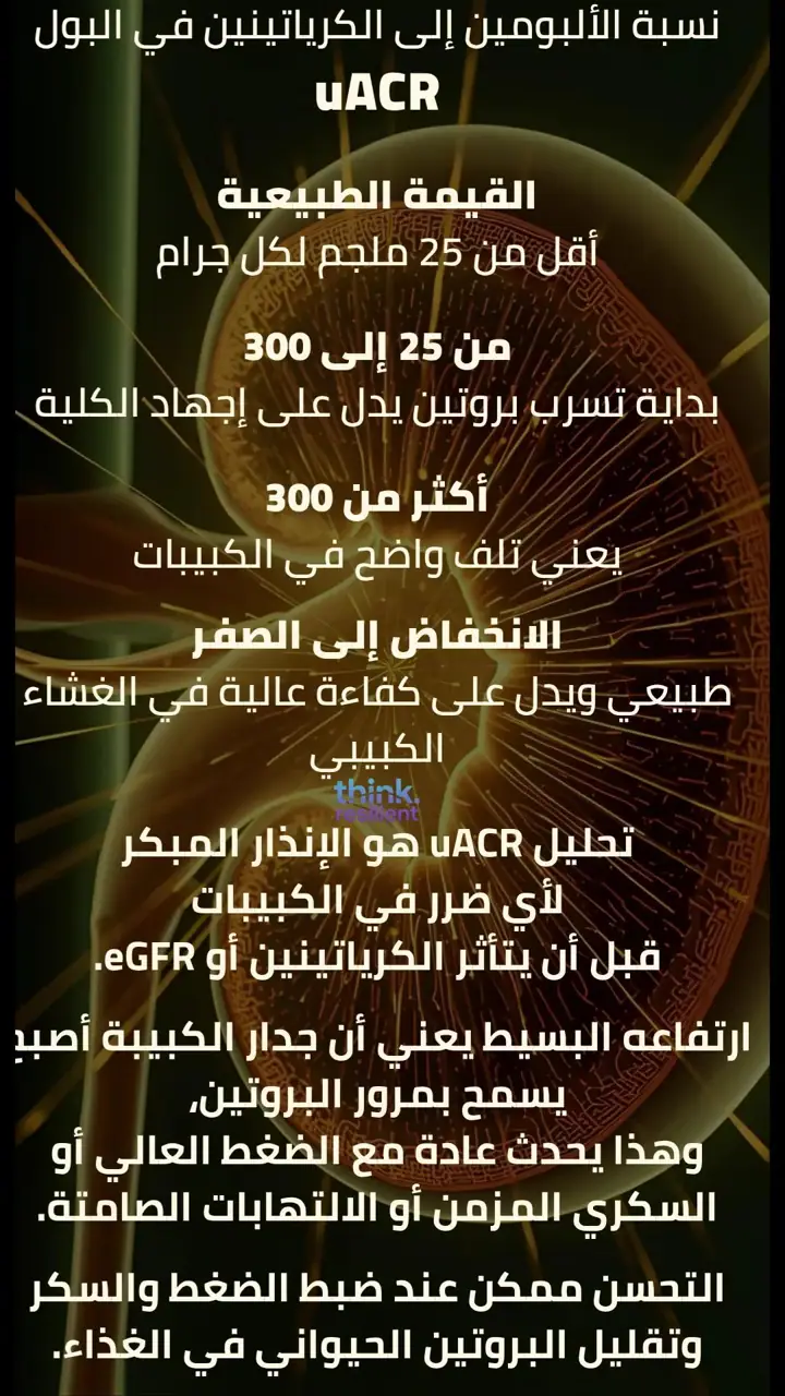 الشريحة 9 من 18: ديتوكس الكلى