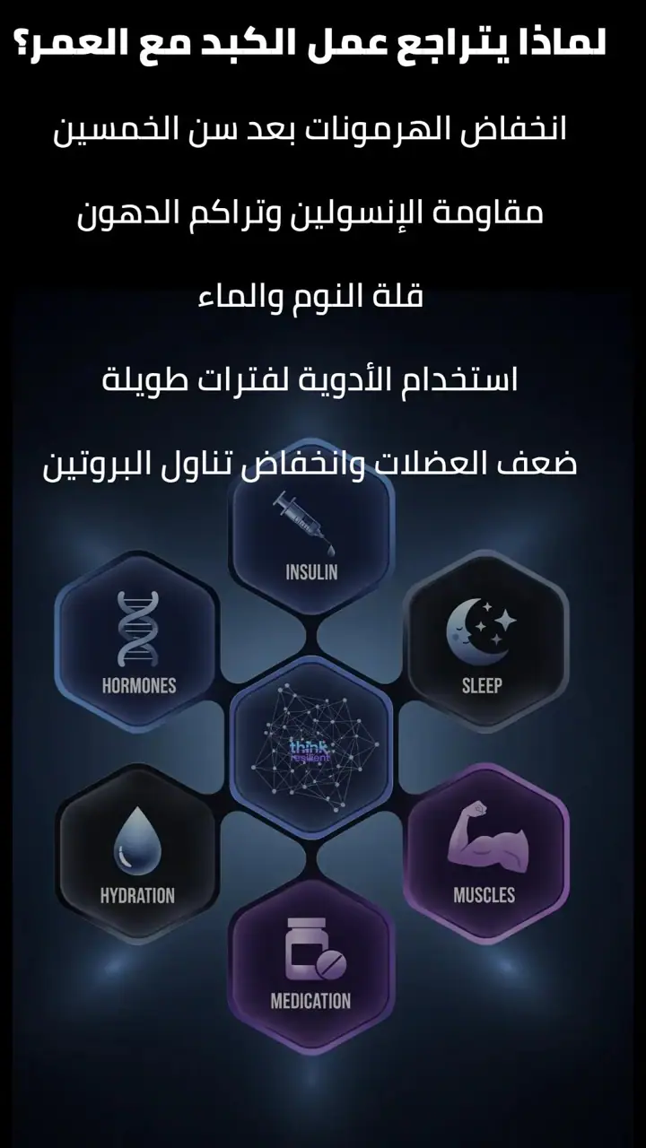 الشريحة 3 من 13: أنه قادر على التجدد حتى بعد