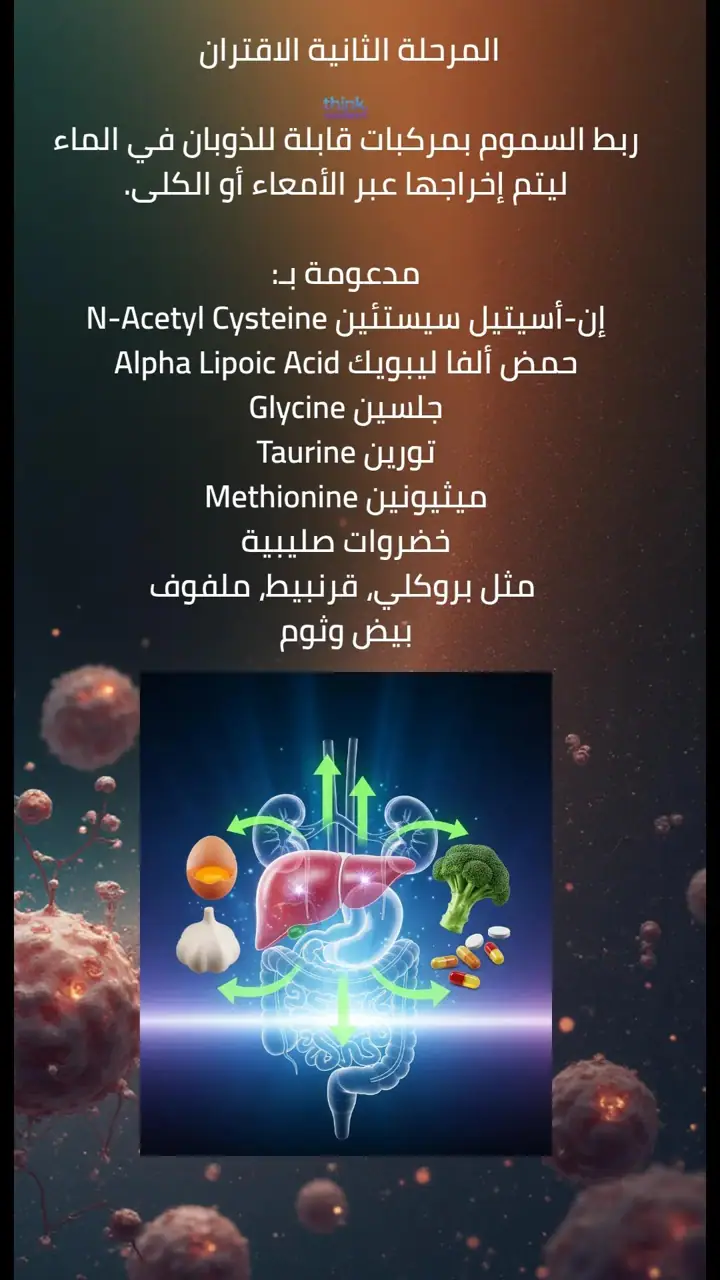 الشريحة 6 من 13: أنه قادر على التجدد حتى بعد