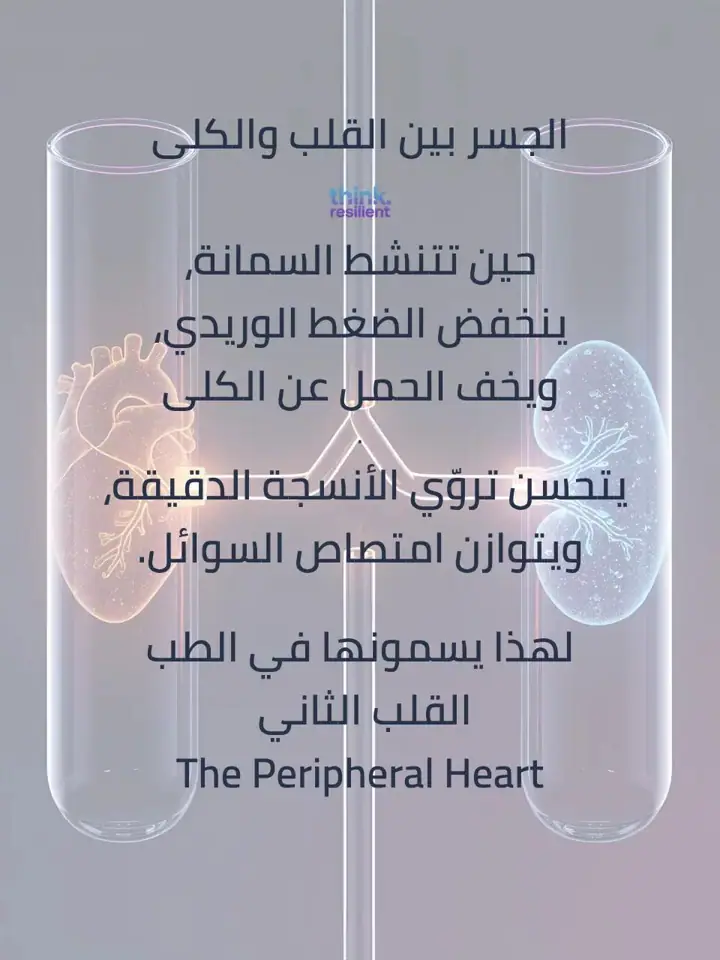 الشريحة 5 من 9: القلب الذي في ساقك