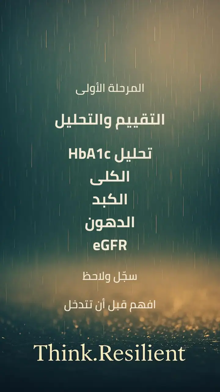 الشريحة 3 من 11: خطة عمل