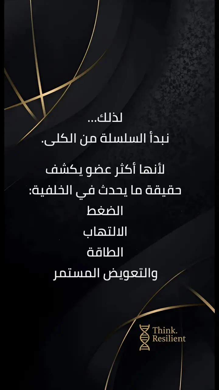 الشريحة 7 من 10: هندسة الكلى