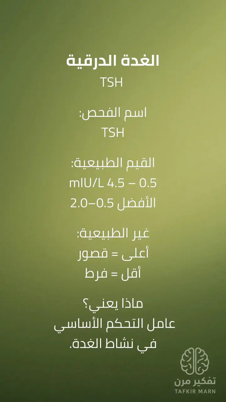 الشريحة 6 من 13: مقدمة السلسلة: مرحلة الفحوصات الأساسية لهشاشة العظام