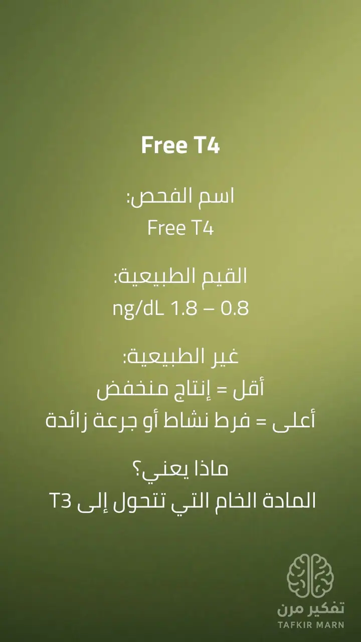 الشريحة 7 من 13: مقدمة السلسلة: مرحلة الفحوصات الأساسية لهشاشة العظام