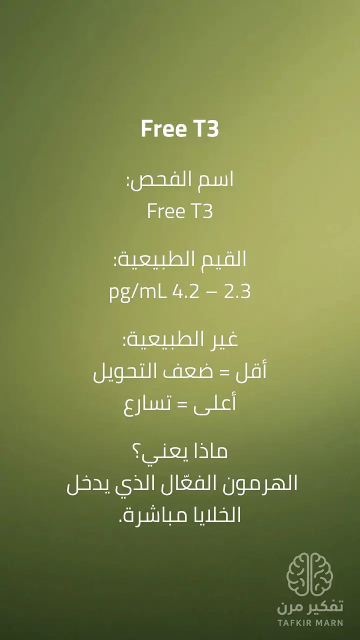 الشريحة 8 من 13: مقدمة السلسلة: مرحلة الفحوصات الأساسية لهشاشة العظام