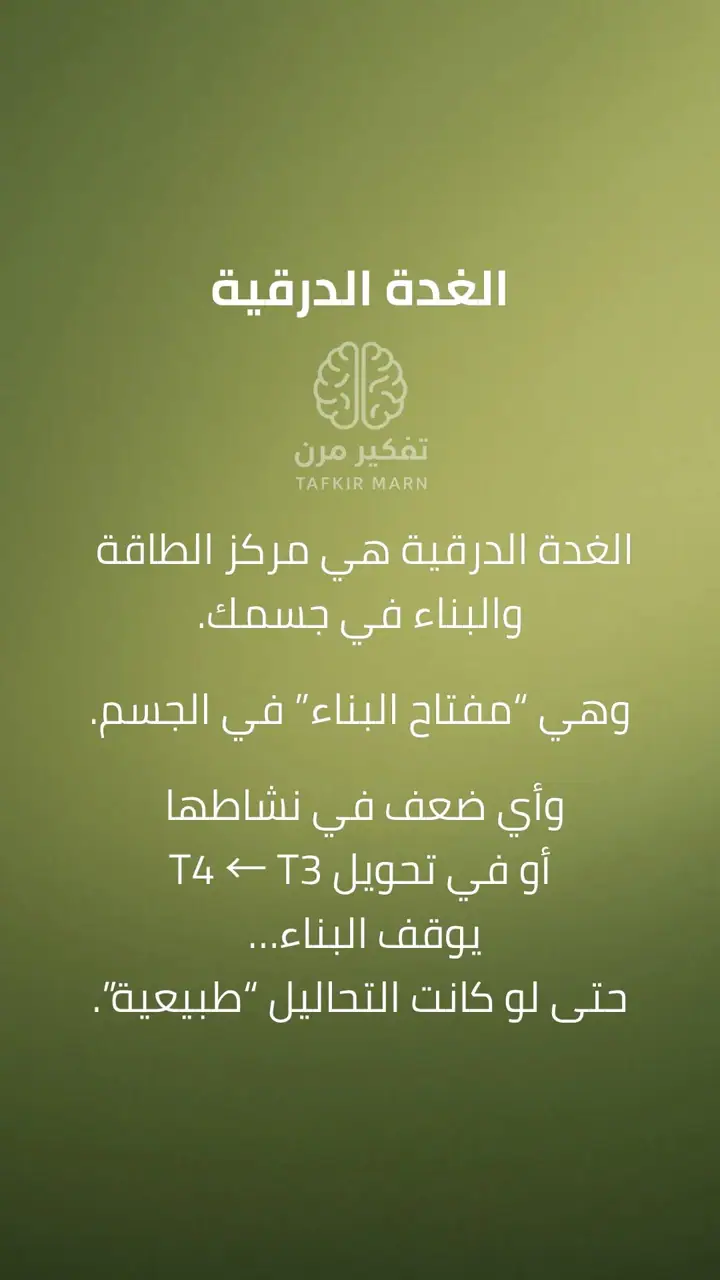 الشريحة 1 من 12: الغدة الدرقية: مفتاح البناء في الجسم