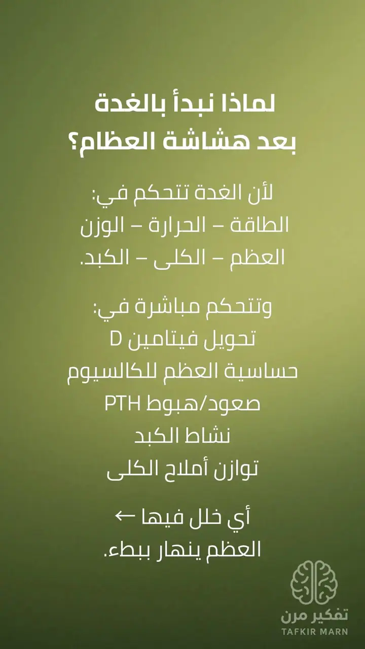 الشريحة 2 من 12: الغدة الدرقية: مفتاح البناء في الجسم