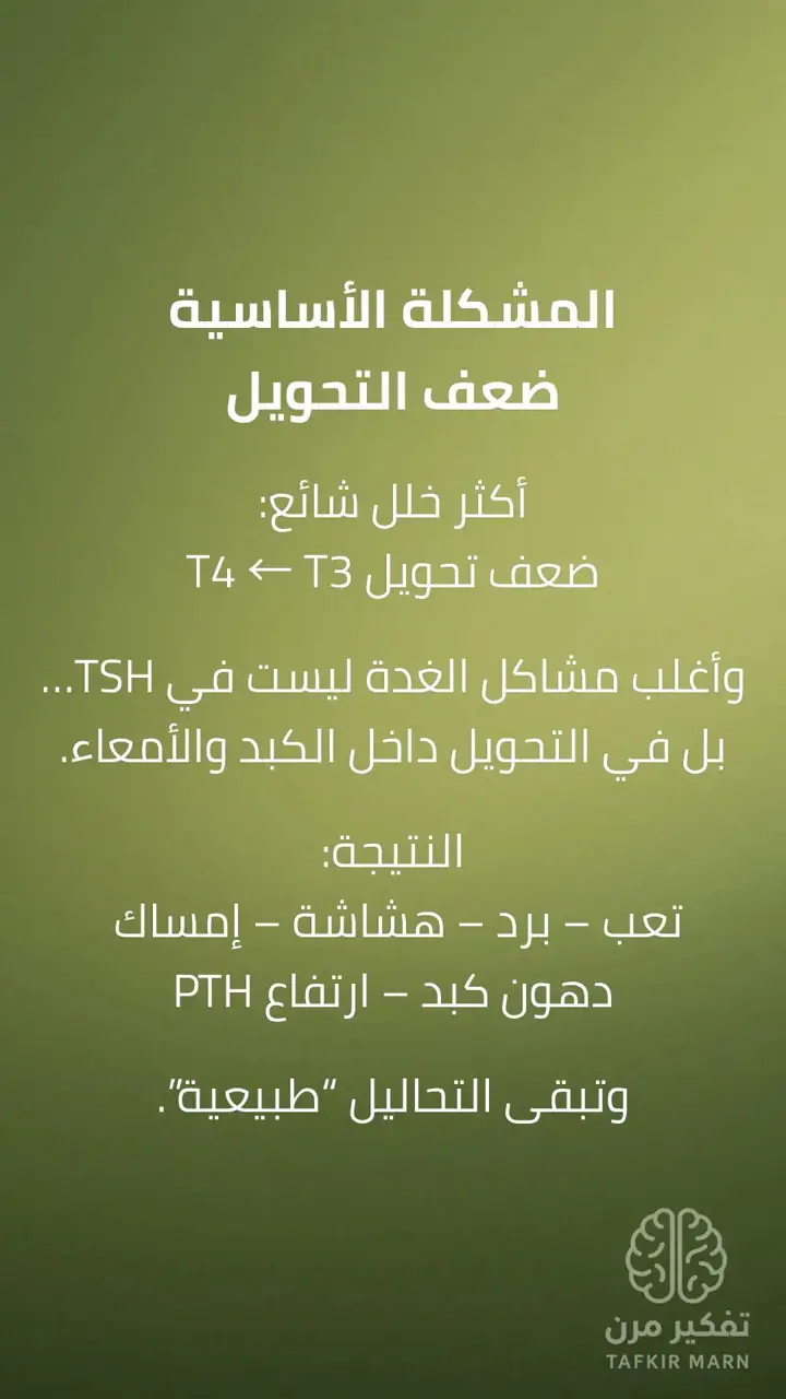 الشريحة 3 من 12: الغدة الدرقية: مفتاح البناء في الجسم