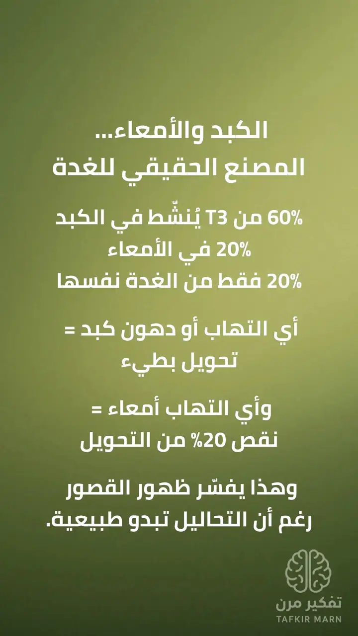 الشريحة 5 من 12: الغدة الدرقية: مفتاح البناء في الجسم