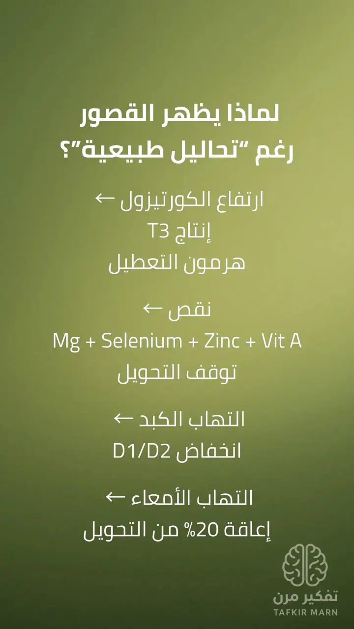 الشريحة 6 من 12: الغدة الدرقية: مفتاح البناء في الجسم