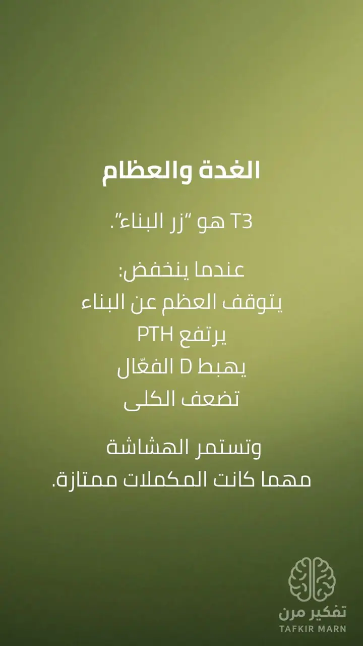 الشريحة 7 من 12: الغدة الدرقية: مفتاح البناء في الجسم