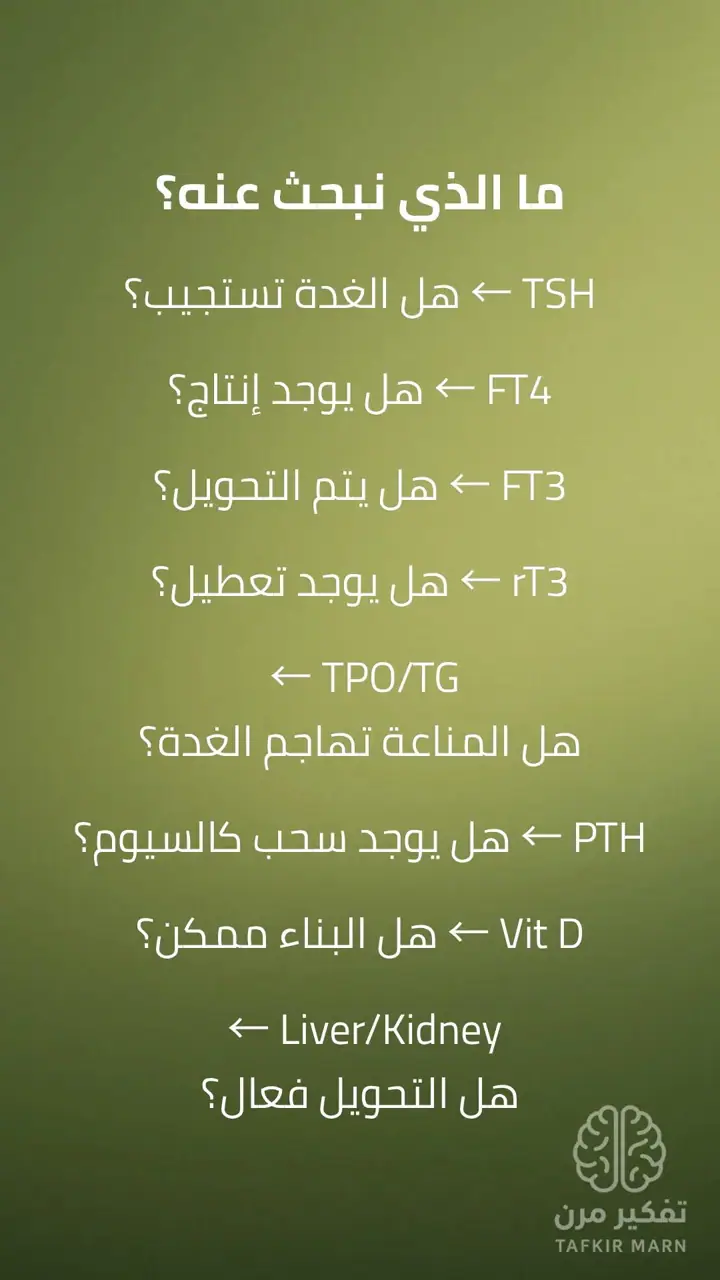 الشريحة 10 من 12: الغدة الدرقية: مفتاح البناء في الجسم