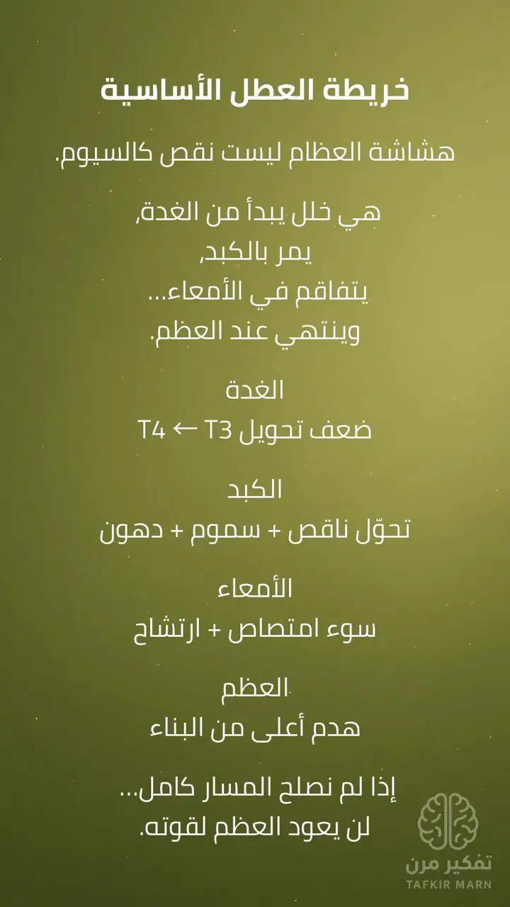 الشريحة 4 من 9: استعادة قوة العظام