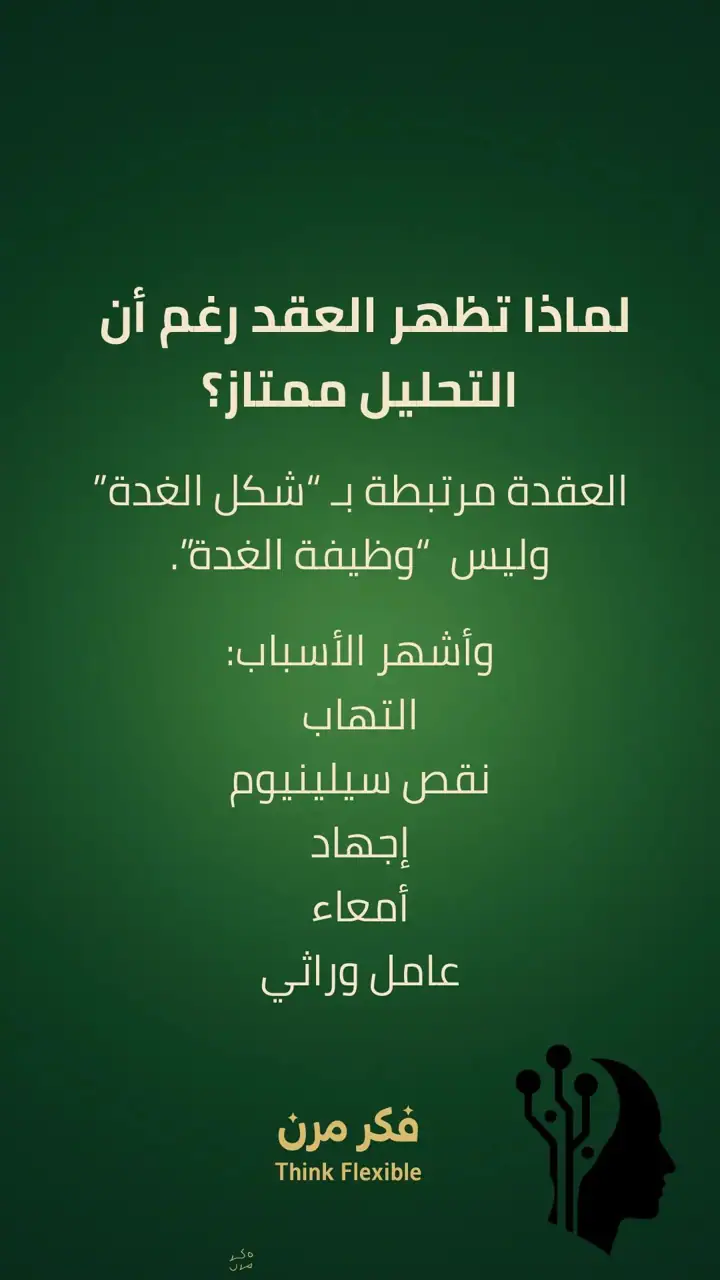 الشريحة 5 من 11: الحلقة الفاصلة للغدة